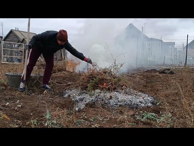 Немного порядка и к зиме готовы. Огородила саженцы от Бусемыча.