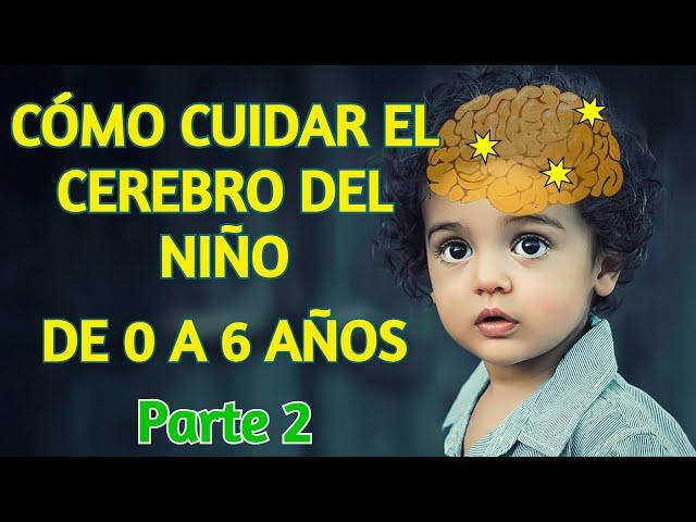 Cómo Cuidar el Cerebro de tu Niño de 0 a 6 Años - Cuidar el Cerebro en la Primera Infancia, Parte 2