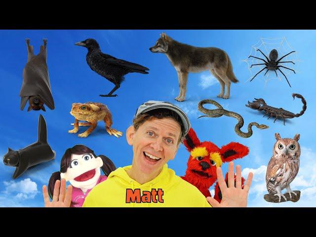 Halloween Spooky Animals | What Do You See? Song  | Find It Version | Dream English Kids