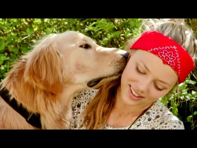 Army Dog (Family, Comedy) Full Movie