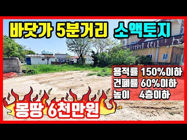 [강추] 바닷가 5분 소액 토지매매 부담없이 매입해 바닷가 주택 지을 땅 부동산 매매 포항부동산 청하면 용두리 #착한부동산tv