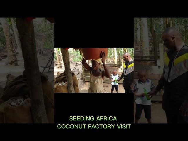 Experience the Future of Sustainable Farming: Seeding Africa's Coconut Factory Farm Visit