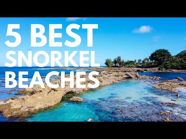 Where to Snorkel on Oahu, Hawaii | 5 Best Snorkel Spots on Oahu