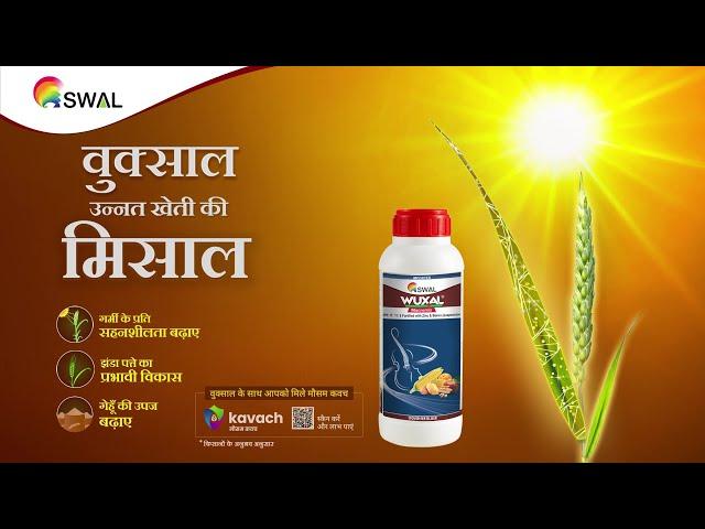 SWAL Wuxal | No heat for Wheat!