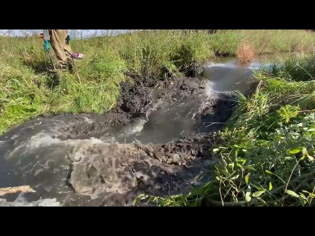 Closest Beaver Dam Collapse!