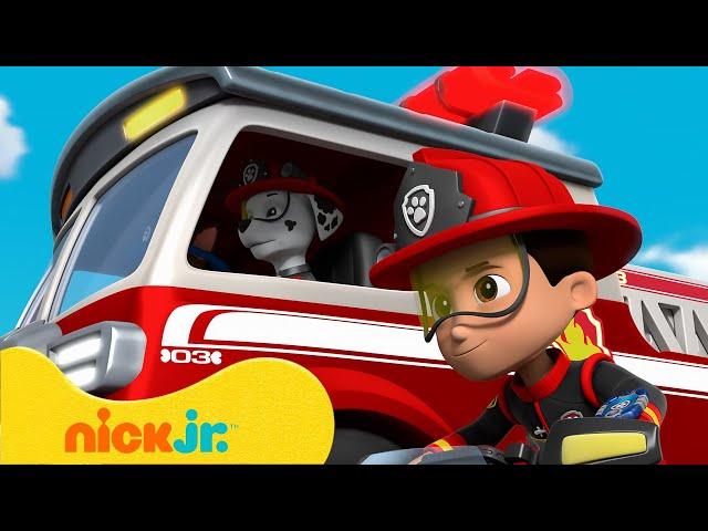 Psi Patrol | Najtrudniejsze misje ratunkowe PSIEGO Patrolu! Z Chase'em i Marshallem | Nick Jr.