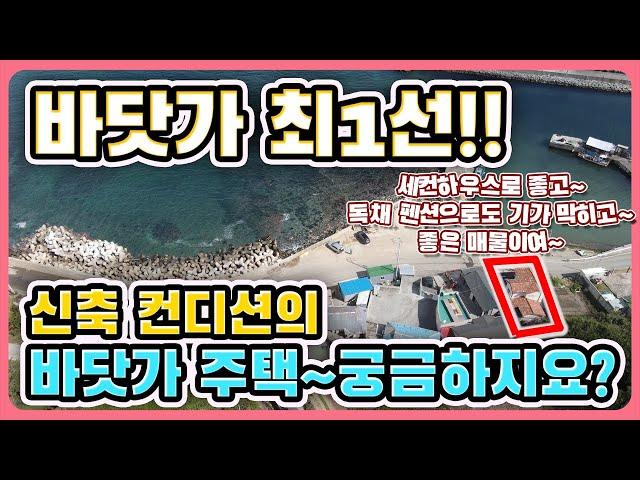 (강력 추천 매물) 바닷가 1선 집 바닷가주택 매매 바다 1선 주택 바다 1선 매매 바닷가 집 매물 바닷가 앞 주택 포항 바닷가 앞 주택 - 포항 부동산TV 경북 부동산TV