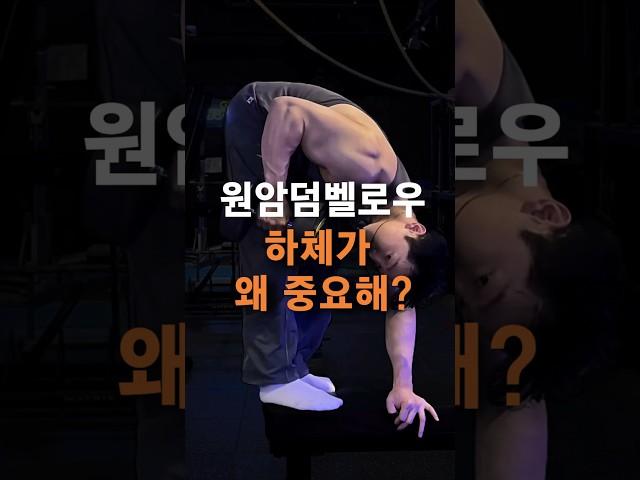 원암덤벨로우 하체 왜 중요해? (아무도 안알려준)