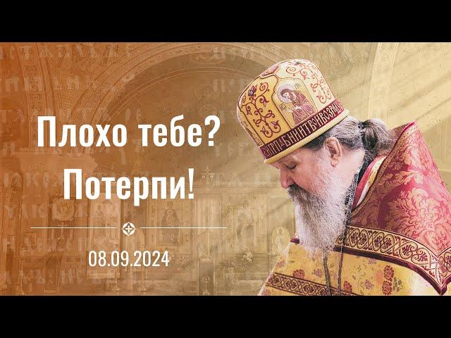 "Плохо тебе? Потерпи!". Проповедь о. Андрея Лемешонка 8 сентября 2024 г.