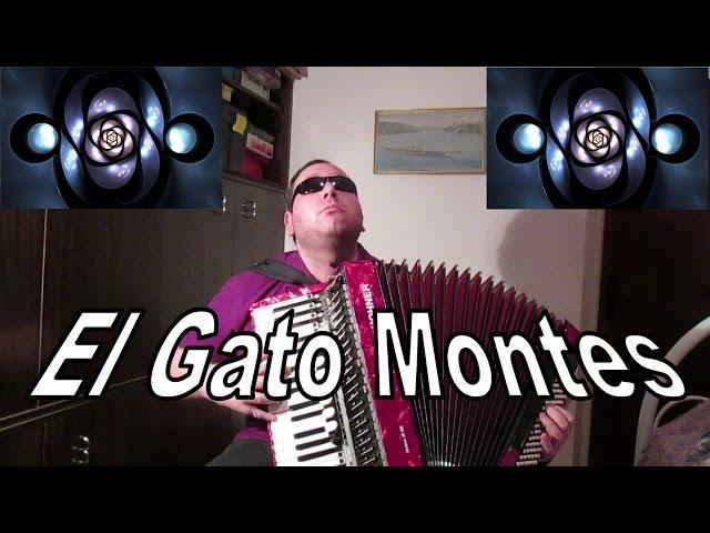 El Gato Montés (Pasodoble) - Accordion - Murathan