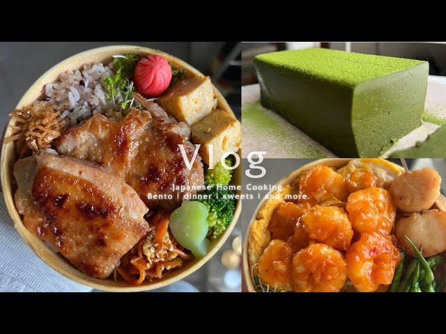 Healthy Bento for Working Daughter | Matcha Terrine | Salmon Rare Cutlet | Japanese Kitchen Vlog