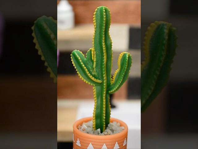 plant a mini cactus with me #miniverse