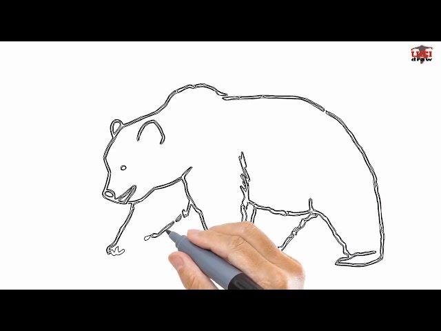 How to Draw a Bear Step By Step: Drawing by UCIDraw