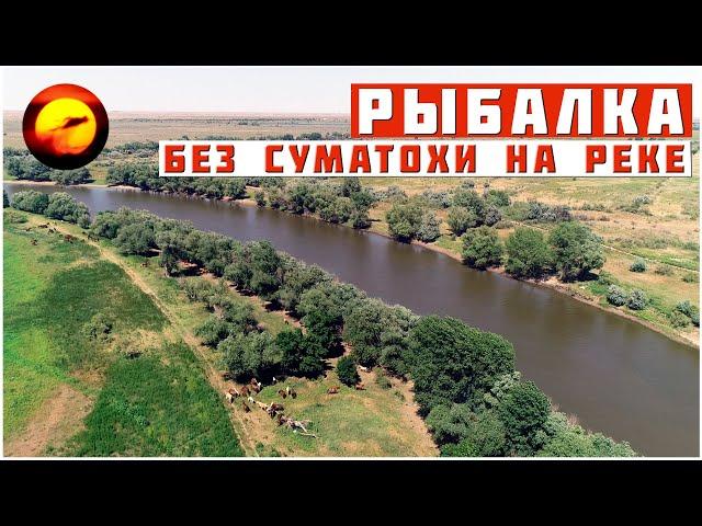 РЫБАЛКА БЕЗ СПЕШКИ И СУМАТОХИ / ЛУЧШИЙ ОТДЫХ У РЕКИ