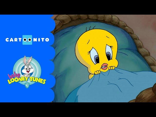 Baby Looney Tunes | Scary Night | Cartoonito UK 