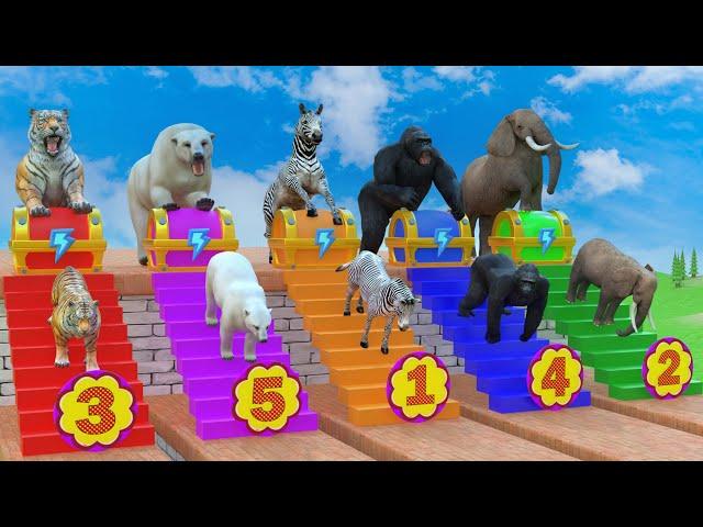 Long Slide Game With Cow Elephant Gorilla Hippopotamus Tiger - 3d Animal Game - Funny 3d Animals