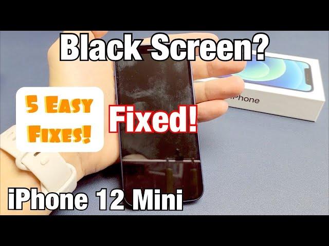 iPhone 12 Mini: Black Screen, Display Won't Turn On? 5 Easy Fixes!