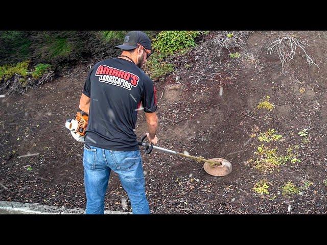 Never Pull Weeds Again!  Weed Whacker Trick