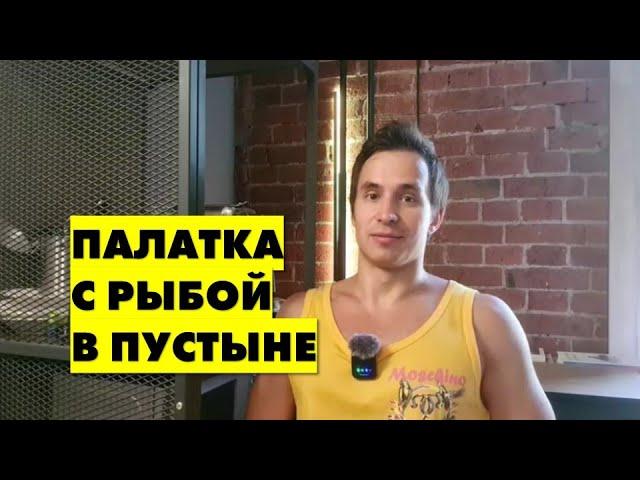 Индексация страниц сайта в SEO для Яндекс и Google