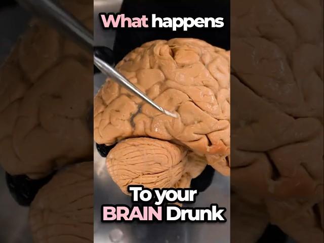Ever Wonder Why You Act Differently After Some Booze?