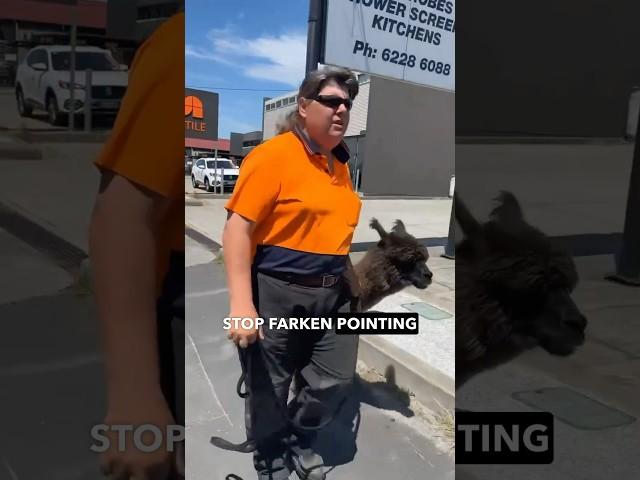 Most Aussie Interaction Ever (No Commentary Needed).