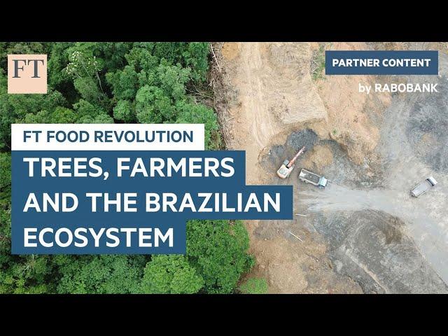 Trees, farmers and the Brazilian ecosystem | FT Food Revolution