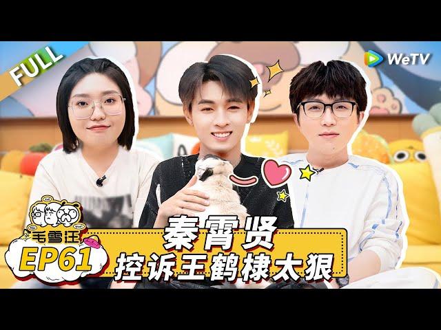 Mao Xue Woof EP61丨毛雪汪 Watch HD Video Online - WeTV