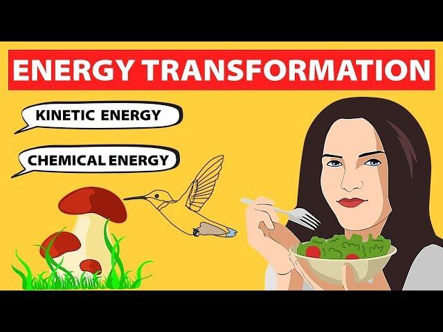 Energy Transformations | Physics