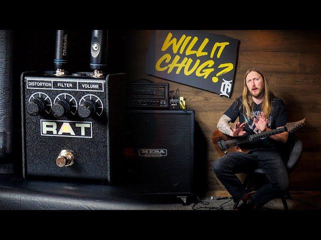 WILL IT CHUG? - RAT DISTORTION