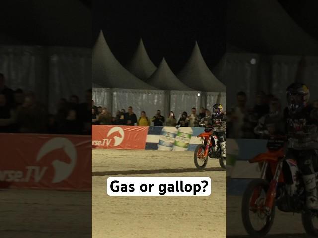 Gas or gallop – it’s all about the jump and the adrenaline!