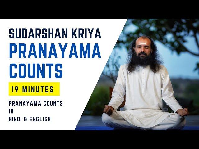 Pranayam Counts for Sudarshan Kriya | Brahmachari Chirag