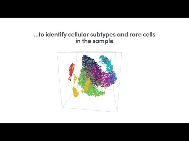How it Works | Chromium Single Cell Gene Expression Solution