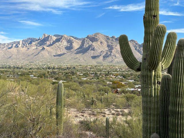 Stunning Views from 1930 W Camino Bajio, Oro Valley, AZ 85737