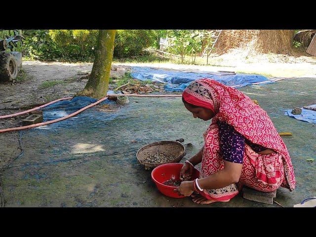 আজ রান্না হল পেঁয়াজ দিয়ে ফেতুরী মাছ ভাজা simple village cooking