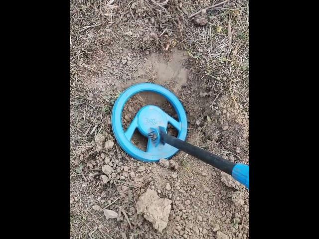 Old metal hunt with metal detector pin pointer #shorts #metaldetecting #treasurehunting #finding 