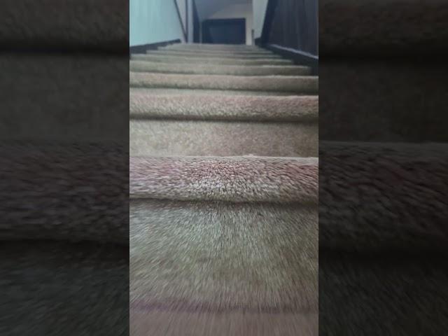 loop