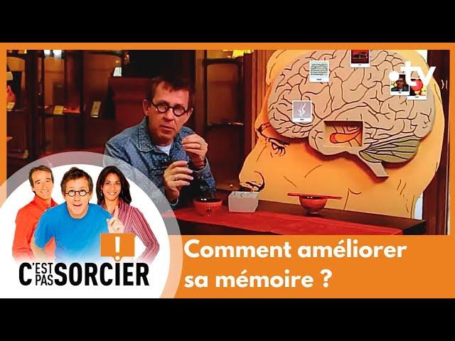 Comment améliorer sa mémoire ? - C'est pas sorcier [Intégrale]