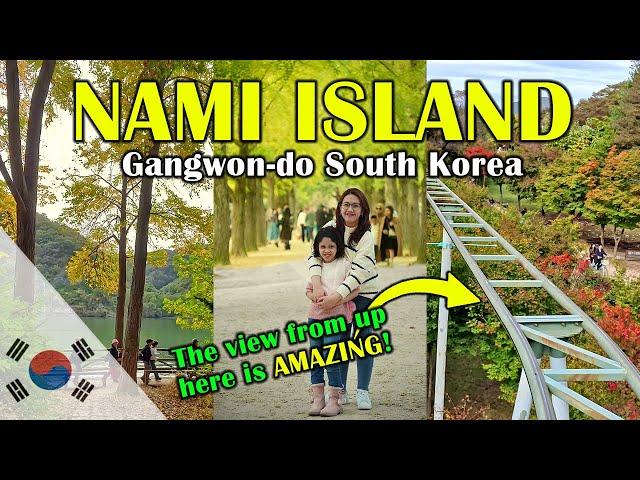 The ONE Place You Shouldn't Miss In South Korea! Nami Island!