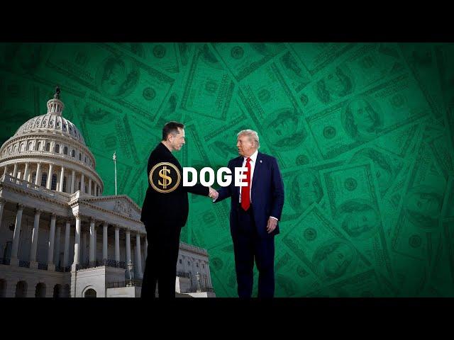 DOGE Vs Congress