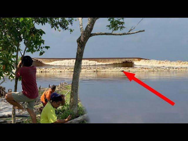 Tsunami river tidal waves (tidal bore )fenomena alam hari ini 22 oktober 2024