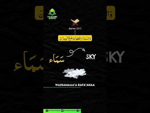 •  : This word from the Quran Means.. | Learn Quranic Arabic