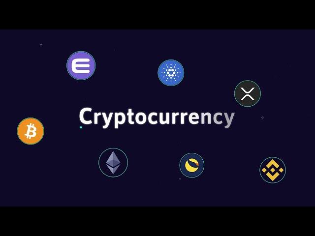 "CryptoWhale" India's 1st Crypto Investment Company.