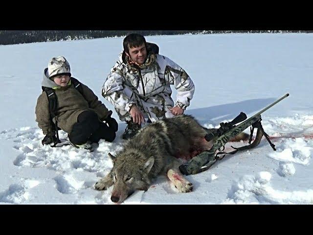 " WESTERN MONTANA WOLF HUNTING 6 "