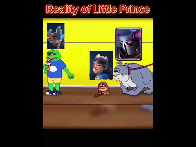 Reality of Little Prince  