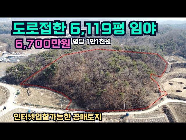 도로접한 6,119평 임야 6,700만원대 평당 1만1천원 인터넷 입찰이 가능한 공매 토지 주택