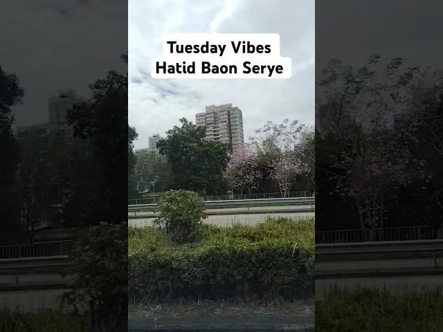 #tuesday #vibes #baonserye #taipo #hk #byahe #shortvideo #travel #shortsfeed