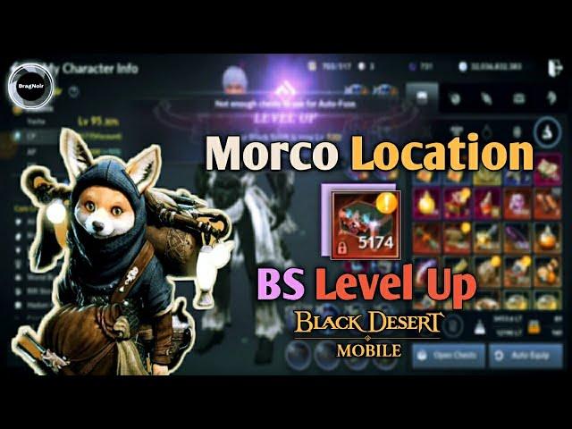 This week's Morco Location and BS Level Up | Black Desert Mobile