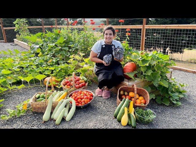 Abundantly Blessed with a MASSIVE Garden Harvest | Full August Garden Tour