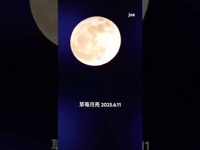草苺月亮，直播精彩片段，錯過再等18年！
