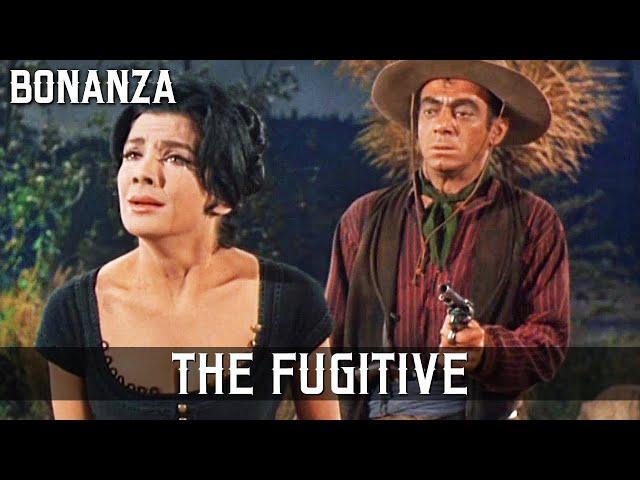 Bonanza - The Fugitive | Episode 52 | WESTERN SERIES | Full Length | Cowboy